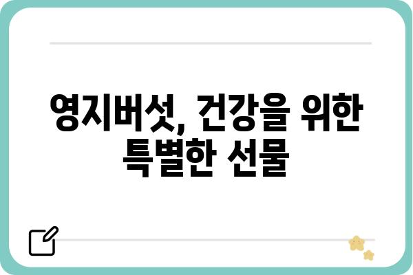 영지버섯 효능과 부작용| 건강에 좋은 영지버섯, 올바르게 먹는 방법 | 영지버섯, 건강, 효능, 부작용, 섭취