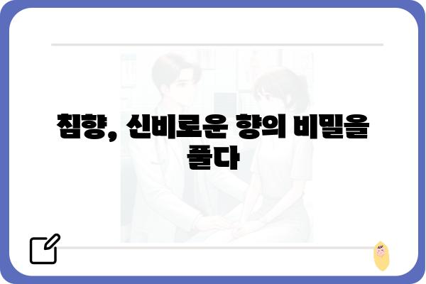 침향의 매력에 빠지다| 향기, 효능, 그리고 문화 속 이야기 | 침향, 향, 약효, 문화, 역사, 이야기