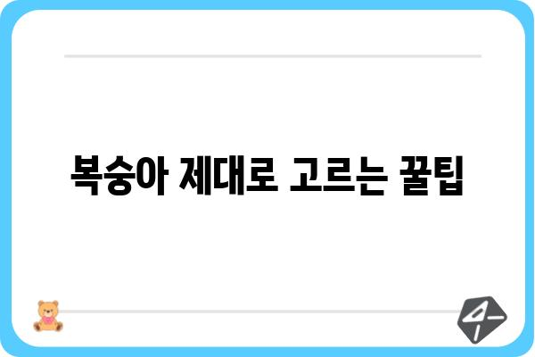 복숭아 맛있게 먹는 방법| 꿀팁 대방출! | 복숭아, 과일, 여름, 꿀팁, 레시피