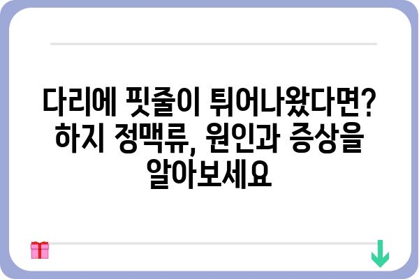 하지 정맥류, 숨겨진 원인과 해결책| 증상, 치료, 예방까지 완벽 가이드 | 혈액순환, 정맥류, 건강