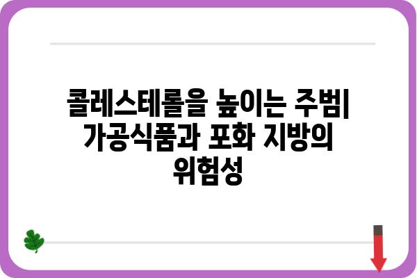 콜레스테롤 관리를 위한 식단 가이드| 낮추는 음식, 높이는 음식 | 건강, 식단, 영양, 고지혈증