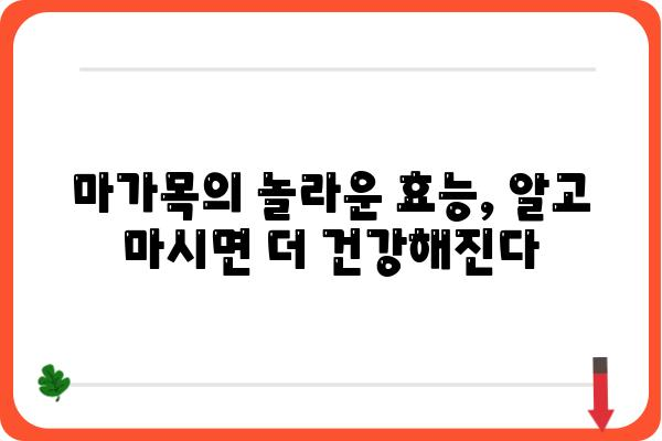 마가목의 효능과 부작용| 건강하게 즐기는 마가목 차 | 마가목, 효능, 부작용, 차, 건강