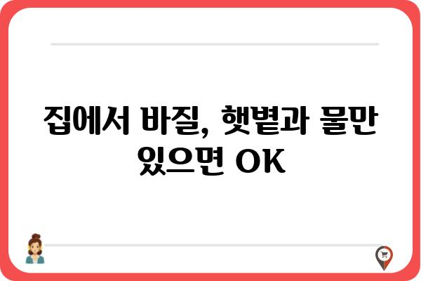 바질, 제대로 키우는 방법| 씨앗부터 수확까지 완벽 가이드 | 바질 재배, 허브 키우기, 바질 종류