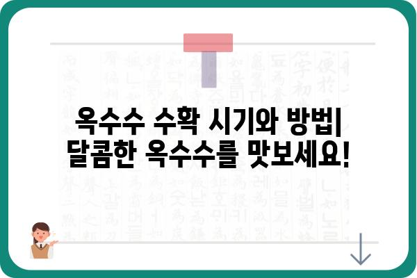 옥수수 품종별 특징과 재배 가이드 | 옥수수 품종, 재배 방법, 옥수수 수확