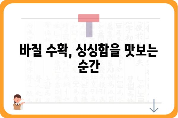 바질, 제대로 키우는 방법| 씨앗부터 수확까지 완벽 가이드 | 바질 재배, 허브 키우기, 바질 종류