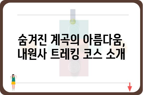 내원사 계곡 트레킹 코스 추천| 숨겨진 비경과 힐링을 만나다 | 강원도, 산행, 계곡, 여름 여행, 가족 여행