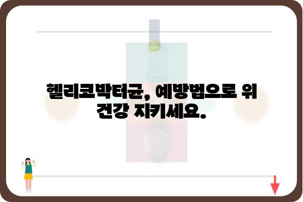 헬리코박터균, 이제 제대로 알아보자| 원인, 증상, 치료 그리고 예방까지 | 위염, 위궤양, 건강 정보