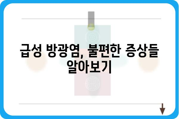 급성 방광염, 겪고 계신가요? | 증상, 원인, 치료법 완벽 가이드