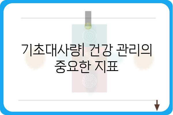 나의 기초대사량 계산하기| 체중 감량 & 건강 관리의 첫걸음 | 기초대사량 계산, 체중 감량, 건강 관리, 칼로리 소모