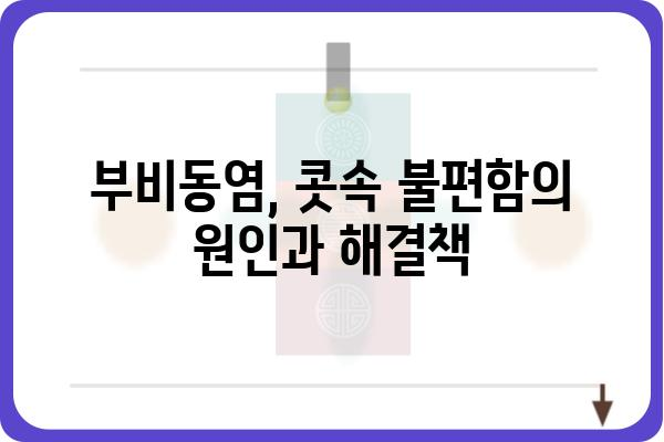 부비동염, 이렇게 관리하세요! | 증상, 원인, 치료, 예방