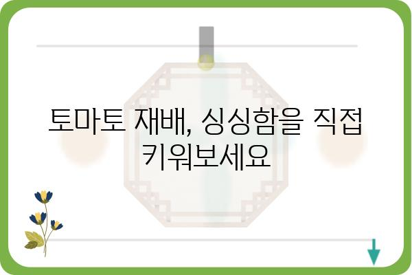 토마토의 놀라운 효능과 특징| 건강을 위한 붉은 보석 | 토마토 효능, 토마토 성분, 토마토 재배