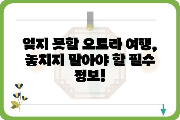 오로라 여행의 모든 것| 놓치지 말아야 할 팁과 정보 | 오로라, 북극광, 여행 가이드, 사진 촬영, 명소, 추천