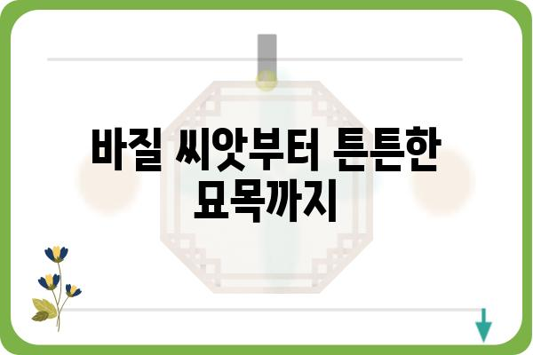 바질, 제대로 키우는 방법| 씨앗부터 수확까지 완벽 가이드 | 바질 재배, 허브 키우기, 바질 종류