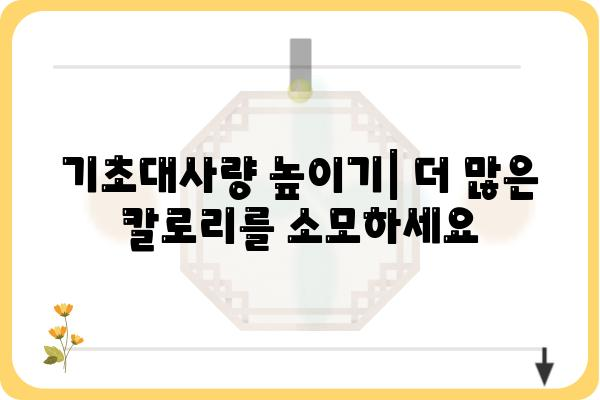 나의 기초대사량 계산하기| 체중 감량 & 건강 관리의 첫걸음 | 기초대사량 계산, 체중 감량, 건강 관리, 칼로리 소모