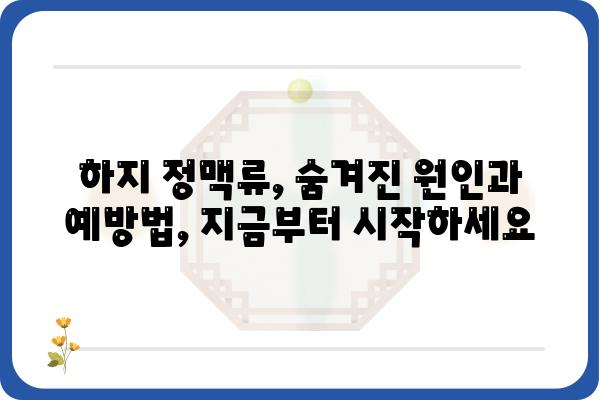 하지 정맥류, 숨겨진 원인과 해결책| 증상, 치료, 예방까지 완벽 가이드 | 혈액순환, 정맥류, 건강