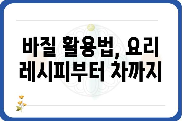 바질, 제대로 키우는 방법| 씨앗부터 수확까지 완벽 가이드 | 바질 재배, 허브 키우기, 바질 종류