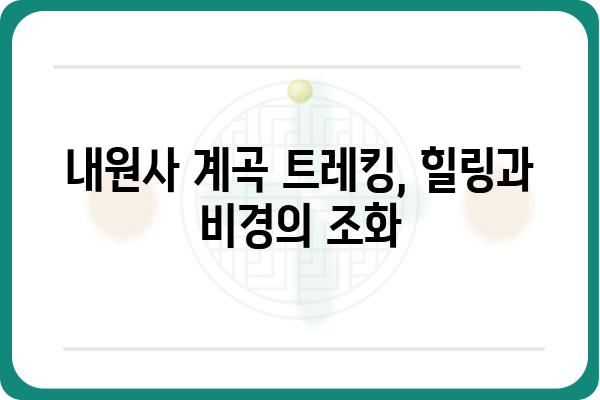 내원사 계곡 트레킹 코스 추천| 숨겨진 비경과 힐링을 만나다 | 강원도, 산행, 계곡, 여름 여행, 가족 여행