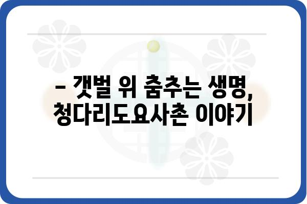 청다리도요사촌| 멸종위기 철새의 보금자리 | 서식지 보호, 생태 관광, 철새 보호