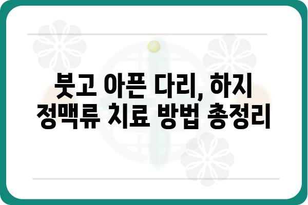 하지 정맥류, 숨겨진 원인과 해결책| 증상, 치료, 예방까지 완벽 가이드 | 혈액순환, 정맥류, 건강