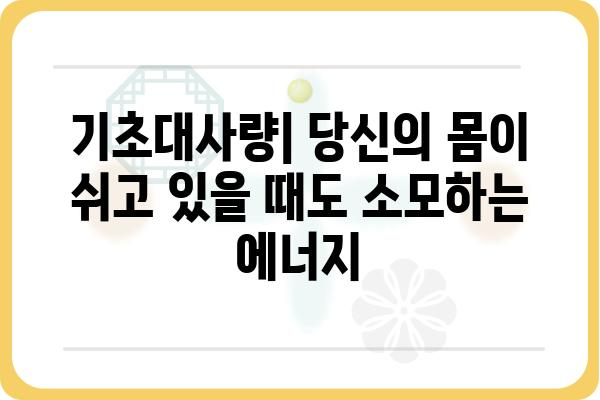 나의 기초대사량 계산하기| 체중 감량 & 건강 관리의 첫걸음 | 기초대사량 계산, 체중 감량, 건강 관리, 칼로리 소모