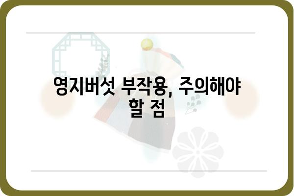 영지버섯 효능과 부작용| 건강에 좋은 영지버섯, 올바르게 먹는 방법 | 영지버섯, 건강, 효능, 부작용, 섭취