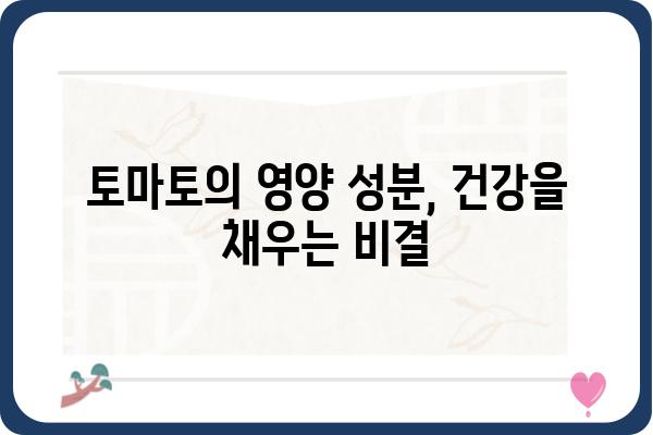 토마토의 놀라운 효능과 특징| 건강을 위한 붉은 보석 | 토마토 효능, 토마토 성분, 토마토 재배