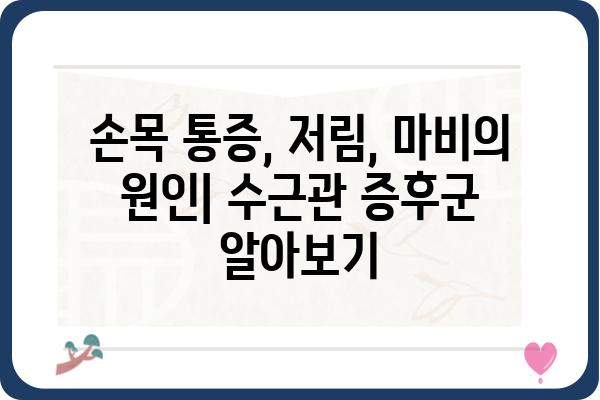 손목 수근관 증후군, 원인과 증상부터 치료까지 완벽 가이드 | 손목 통증, 저림, 마비, 수근관 증후군, 치료법