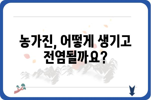 농가진 예방 및 치료 가이드| 증상, 원인, 치료법 총정리 | 농가진, 피부 질환, 감염, 항생제, 소독