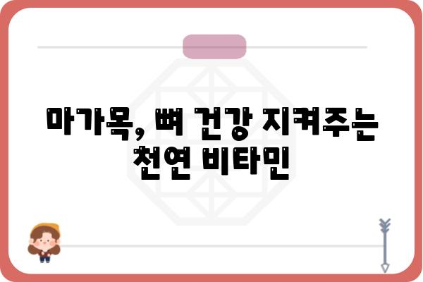 마가목의 효능과 부작용| 건강하게 즐기는 마가목 차 | 마가목, 효능, 부작용, 차, 건강