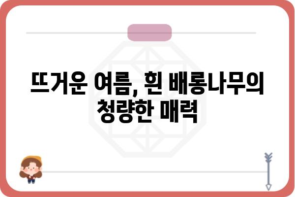 흰배롱나무의 매력, 꽃과 나무 이야기 | 백일홍, 배롱나무, 붉은 꽃, 여름 꽃, 정원수, 나무