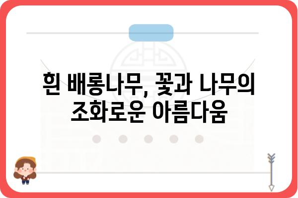 흰배롱나무의 매력, 꽃과 나무 이야기 | 백일홍, 배롱나무, 붉은 꽃, 여름 꽃, 정원수, 나무