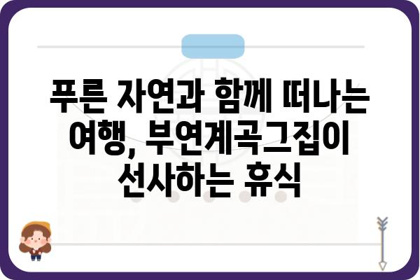 부연계곡그집| 숨겨진 매력을 찾아 떠나는 여행 | 부연계곡, 펜션, 숙소, 자연, 휴식, 추천