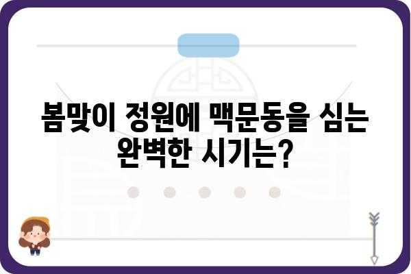 맥문동 심는 시기와 방법| 봄맞이 정원 조성 가이드 | 맥문동, 정원 가꾸기, 봄맞이, 식물 심기, 조경