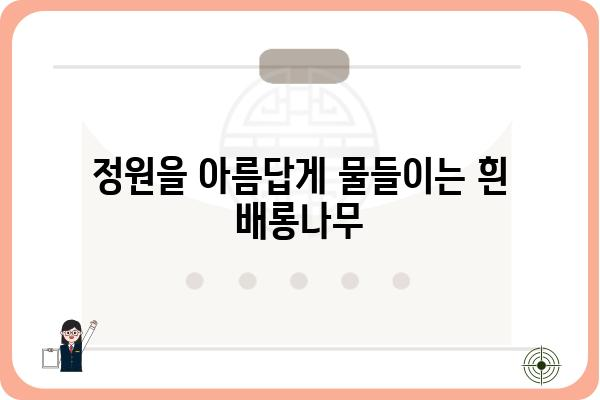 흰배롱나무의 매력, 꽃과 나무 이야기 | 백일홍, 배롱나무, 붉은 꽃, 여름 꽃, 정원수, 나무