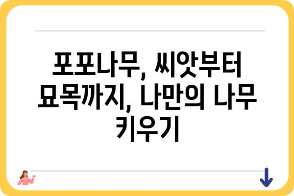 포포나무의 매력에 빠지다| 재배부터 활용까지 | 포포나무, 재배, 효능, 열매, 나무, 묘목