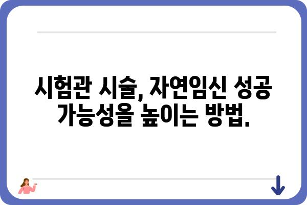 불임 극복을 위한 맞춤 가이드| 원인 분석부터 치료까지 | 불임, 난임, 시험관 시술, 자연임신, 난임 치료, 난임 원인, 불임 원인, 난임 검사