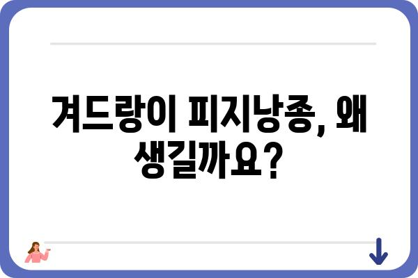 겨드랑이 피지낭종 수술, 알아야 할 모든 것 | 증상, 원인, 치료, 후기, 비용