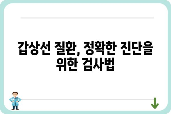 갑상선 질환, 나에게 맞는 진단과 치료법 알아보기 | 갑상선 기능 저하증, 갑상선 기능 항진증, 갑상선암, 증상, 검사, 치료