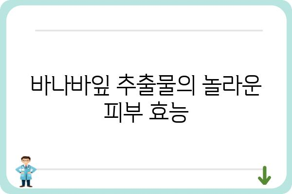 바나바잎의 효능과 활용법| 건강과 미용, 그리고 환경까지 | 바나바, 잎, 효능, 활용, 건강, 미용, 환경, 정보