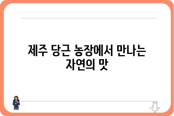 제주 당근, 밭에서 식탁까지| 제주 당근 맛있게 먹는 법 & 제주 당근 농가 이야기 | 제주 특산물, 당근 요리, 제주 당근 농장