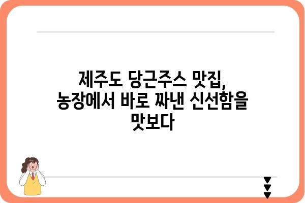 제주도 당근주스 맛집 추천 | 제주도 여행, 당근주스 맛집, 카페, 농장 직영