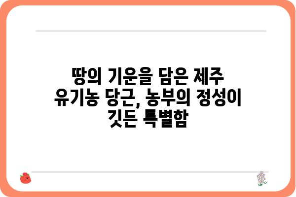 제주도 유기농 당근의 매력| 맛과 건강, 그리고 농부의 정성 | 제주도, 유기농, 당근, 농산물, 지역 특산물, 친환경, 건강식품