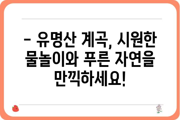 유명산 계곡 여름 피서지 추천 | 계곡, 물놀이, 휴가