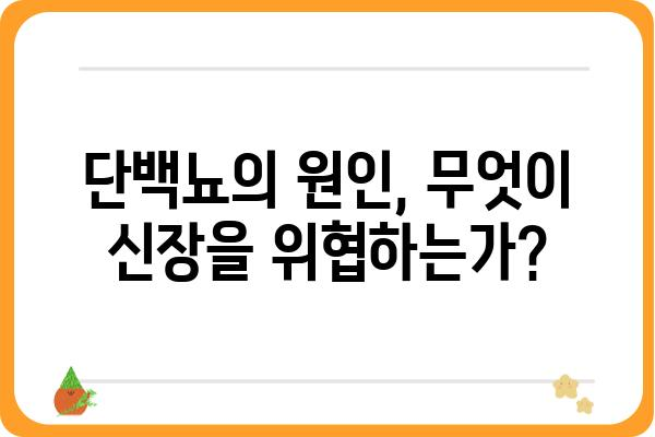 단백뇨, 원인과 증상 그리고 치료| 당신이 알아야 할 모든 것 | 신장 질환, 건강 정보, 의학