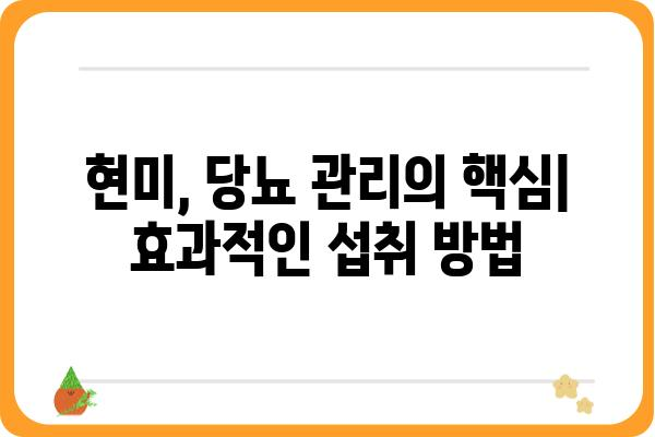 당뇨병 환자를 위한 현미 식단 가이드| 효과적인 섭취 방법과 레시피 | 당뇨, 현미, 식단 관리, 건강 팁, 레시피