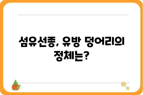 섬유선종, 궁금한 모든 것| 증상부터 치료까지 | 유방, 섬유선종, 종양, 검사, 치료