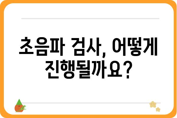 갑상선 초음파검사 완벽 가이드| 준비부터 결과 해석까지 | 갑상선, 초음파, 검사, 질환, 건강