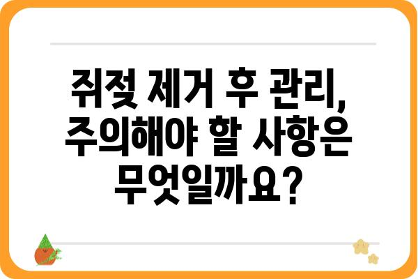 강남 쥐젖 제거, 효과적인 방법과 비용 알아보기 | 쥐젖 제거, 피부과 추천, 가격 비교