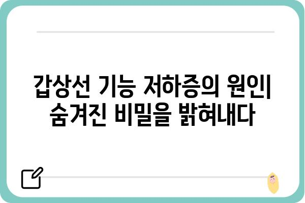 갑상선 기능 저하증 검사 완벽 가이드 | 증상, 원인, 진단, 치료, 관리