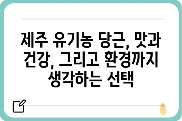 제주도 유기농 당근의 매력| 맛과 건강, 그리고 농부의 정성 | 제주도, 유기농, 당근, 농산물, 지역 특산물, 친환경, 건강식품